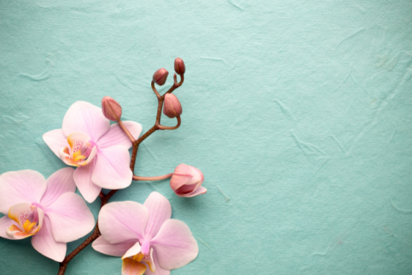 B05.3 | Sommer-Intensivkurs HOCHSENSIBILITÄT